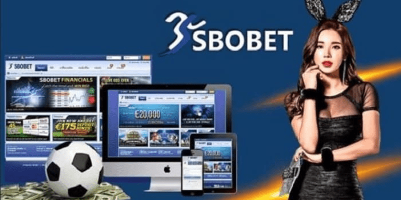 Nhà cái SBOBET cá cược trực tiếp hàng đầu Việt Nam